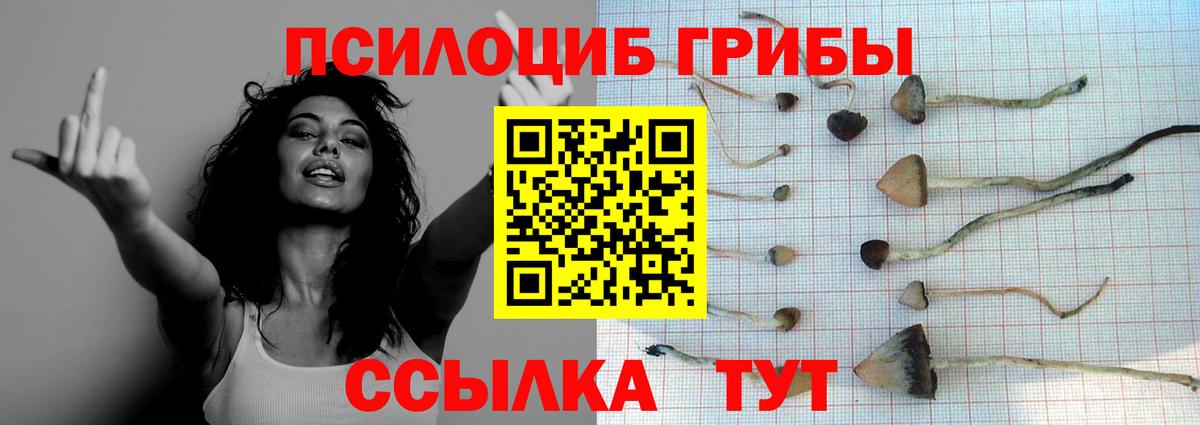 Владимир  Псилоцибиновые грибы ЛСД  Вход с VPN 